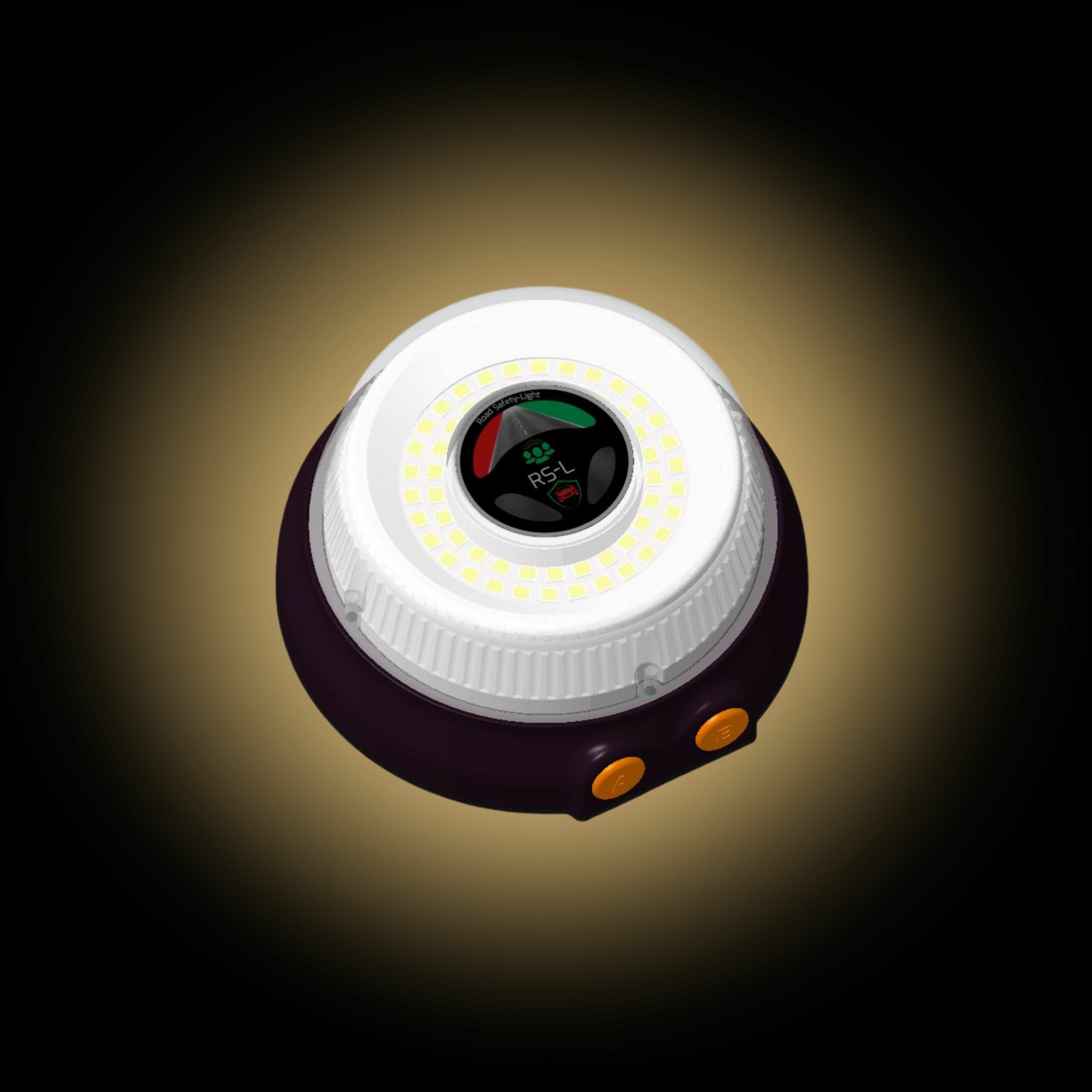 RS-L V 1.6 Balise de détresse